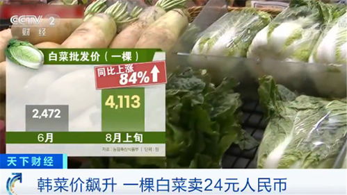 韓國民眾叫苦不迭 菜價水產品價格一路飆升，生活壓力陡增