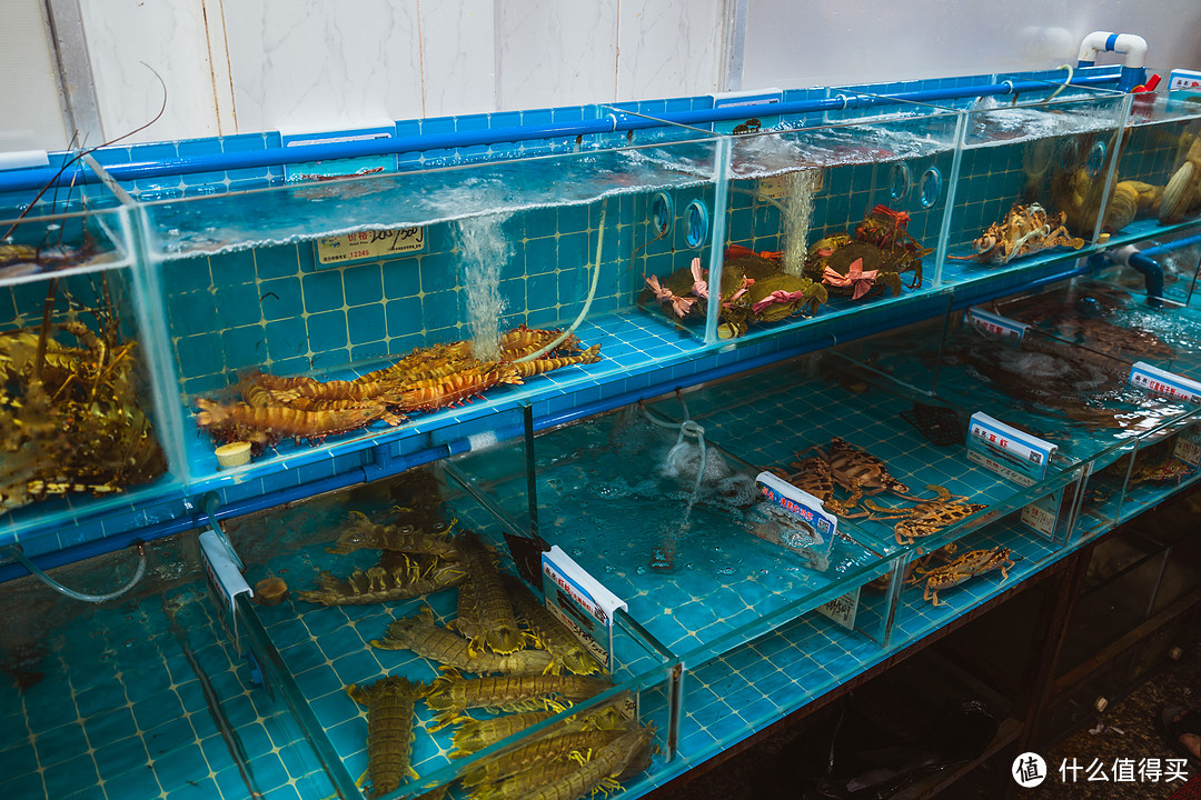 小縣城海鮮生意經 機遇、挑戰與成功之道