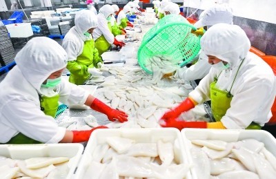 福建晉江水產加工出口快速增長，加工貿易成發展新引擎