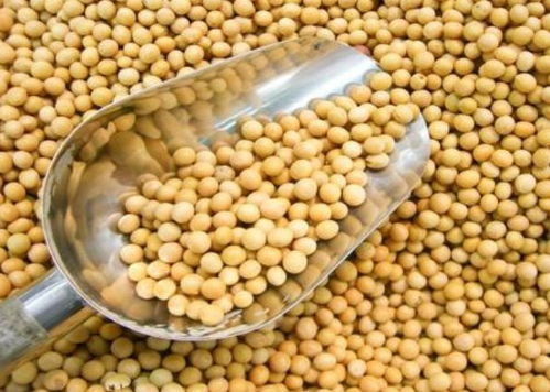 寧波進口食品排行榜揭曉 水產品榮登榜首，吃貨最愛一覽